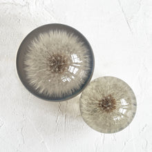 Load image into Gallery viewer, Dandelion Paperweight