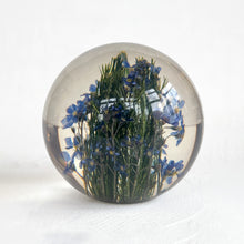 Load image into Gallery viewer, Forget Me Not Paperweight