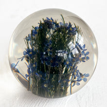 Load image into Gallery viewer, Forget Me Not Paperweight