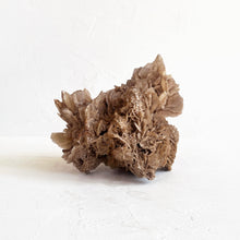 Load image into Gallery viewer, Large Desert Rose Selenite Crystal Specimen