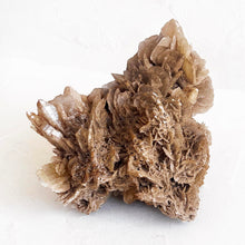 Load image into Gallery viewer, Large Desert Rose Selenite Crystal Specimen