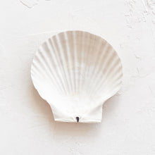 Load image into Gallery viewer, Sea Shell Appetizer Tray