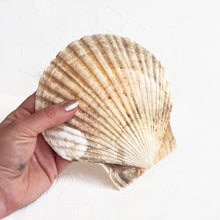 Load image into Gallery viewer, Sea Shell Appetizer Tray