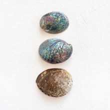 Load image into Gallery viewer, Large Abalone Shell
