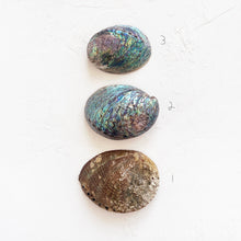 Load image into Gallery viewer, Large Abalone Shell