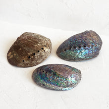 Load image into Gallery viewer, Large Abalone Shell