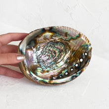 Load image into Gallery viewer, Large Abalone Shell