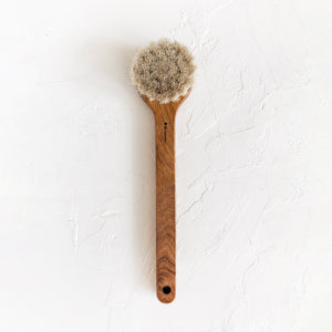 Long Handled Bath Brush