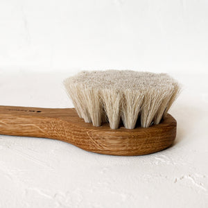 Long Handled Bath Brush