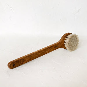 Long Handled Bath Brush