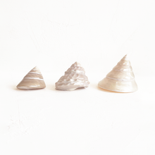 Load image into Gallery viewer, Vintage Conical Shells