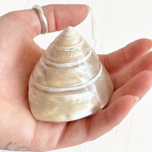 Load image into Gallery viewer, Vintage Conical Shells