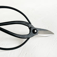 Load image into Gallery viewer, Sentei Garden Scissors