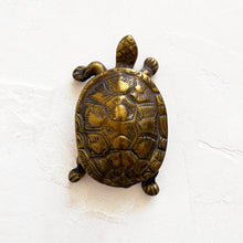 Load image into Gallery viewer, Brass Turtle Box