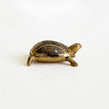 Load image into Gallery viewer, Brass Turtle