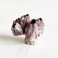 Load image into Gallery viewer, Purple Acorn Barnacle