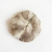 Load image into Gallery viewer, White Mushroom Coral