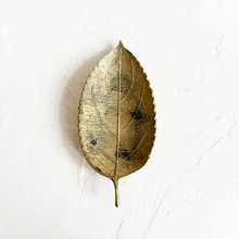 Load image into Gallery viewer, Brass Leaf Trinket Dish