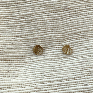 Limpet Shell Impression Studs
