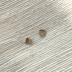 Small Limpet Shell Impression Studs