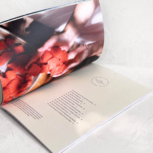 Load image into Gallery viewer, Through Sunday Vol. II