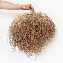 Load image into Gallery viewer, Tumbleweed