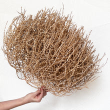 Load image into Gallery viewer, Tumbleweed