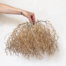 Load image into Gallery viewer, Tumbleweed