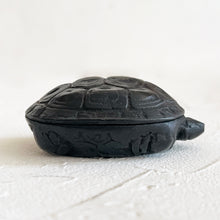 Load image into Gallery viewer, Iron Turtle Box
