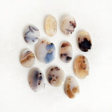 Load image into Gallery viewer, Montana Agate Palm Stones