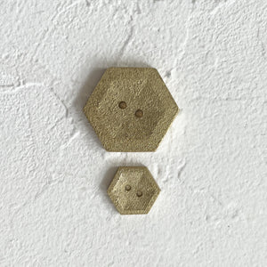 Large Brass Button