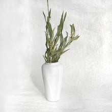 Load image into Gallery viewer, Classic Vase in Soapstone