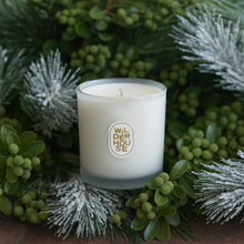 Load image into Gallery viewer, Forest of Glass Candle