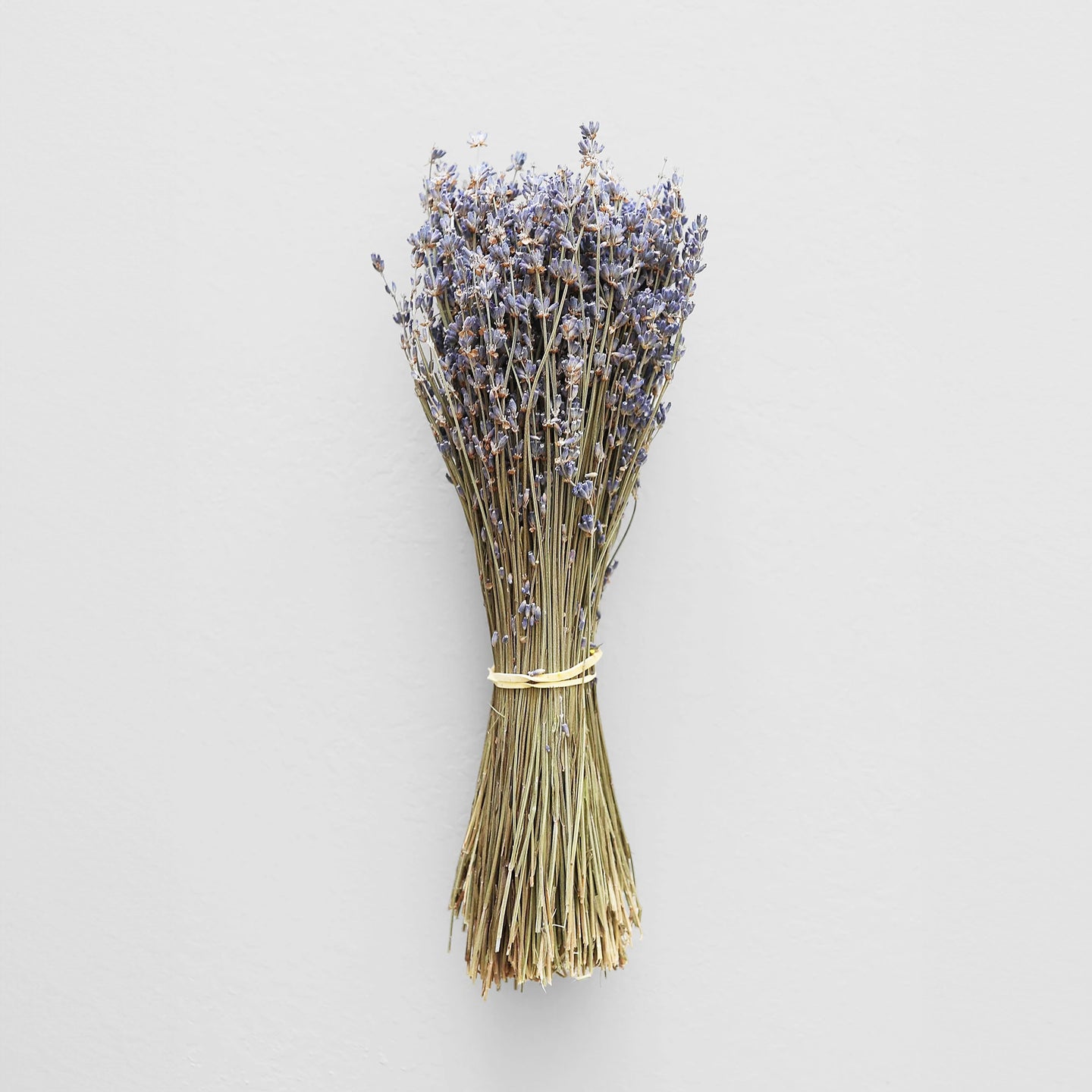 Dried Lavender Bundle