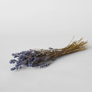 Dried Lavender Bundle