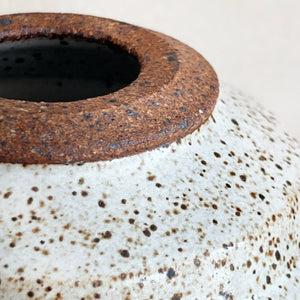 Vase in Speckle