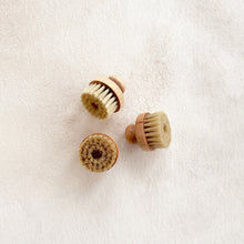 Load image into Gallery viewer, Beechwood Nail Brush