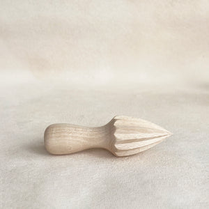 Simple Citrus Press