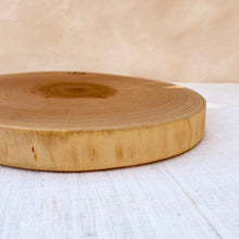 Load image into Gallery viewer, Ash Wood Slice