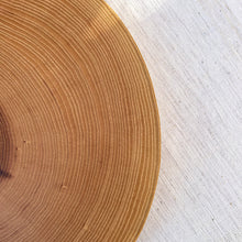 Load image into Gallery viewer, Ash Wood Slice