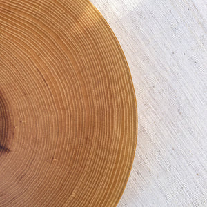Ash Wood Slice
