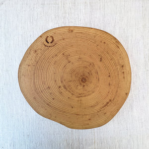 Ash Wood Slice