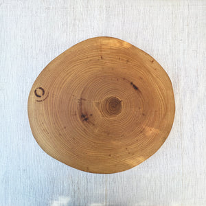 Ash Wood Slice