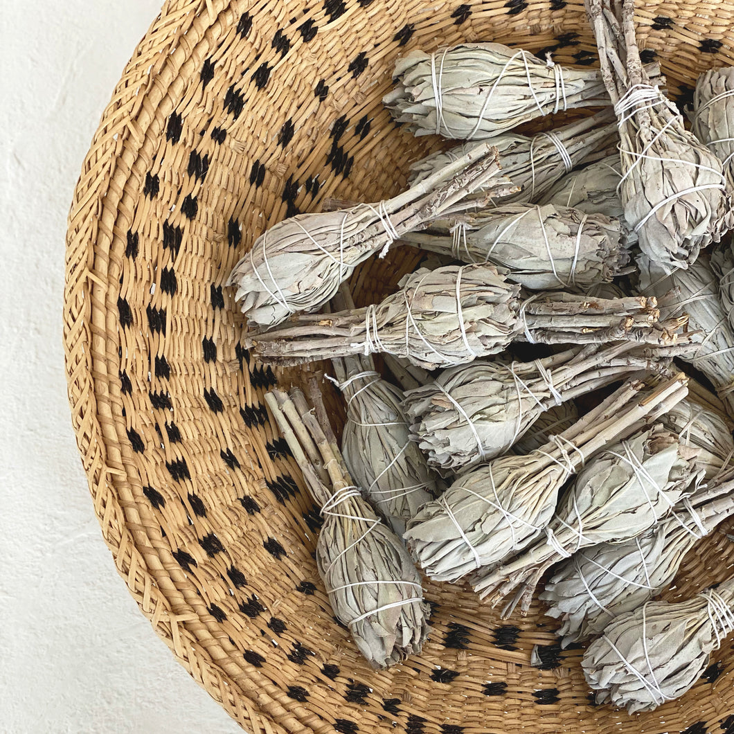 Wild White Sage