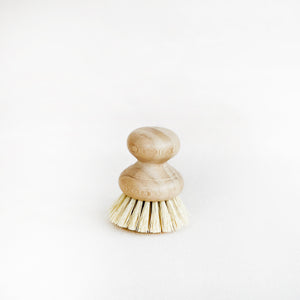 Dish Washing Brush
