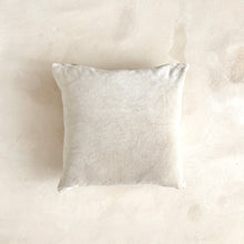 Load image into Gallery viewer, Velvet &amp; Linen Pillow