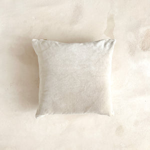 Velvet & Linen Pillow