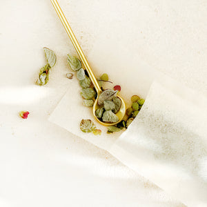Rishi Tea Bags