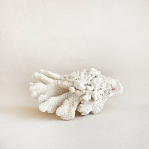Vintage Coral