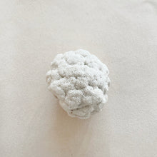 Load image into Gallery viewer, Vintage Coral